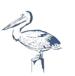Jewelry Category